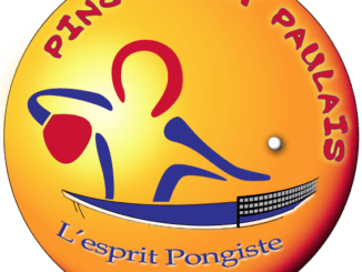 Logo PSP